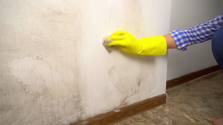 Forensic Mold Investigation in Cherryville, NC